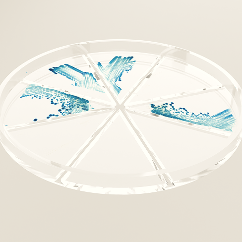 Agar Plate Side