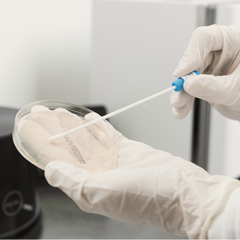 Swab collection sample