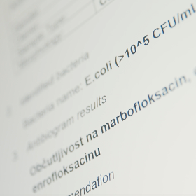 Veterinarian receiving diagnostic results